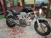 VTR250